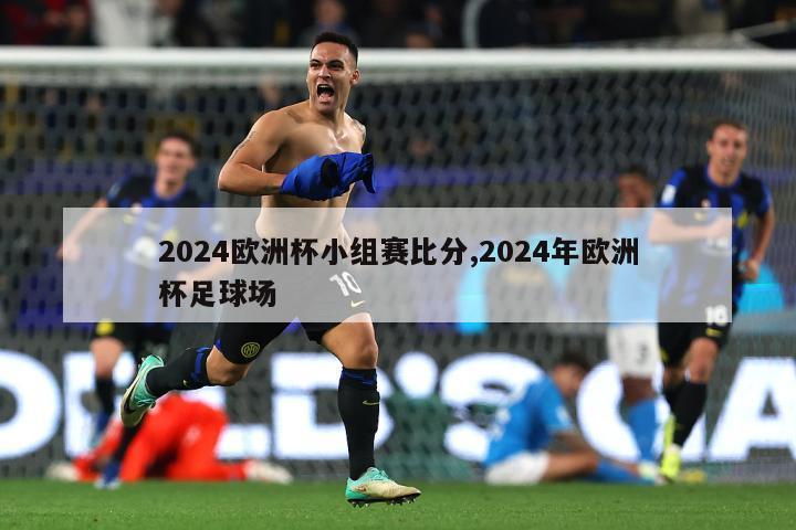 2024欧洲杯小组赛比分,2024年欧洲杯足球场