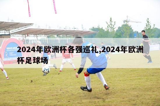 2024年欧洲杯各强巡礼,2024年欧洲杯足球场