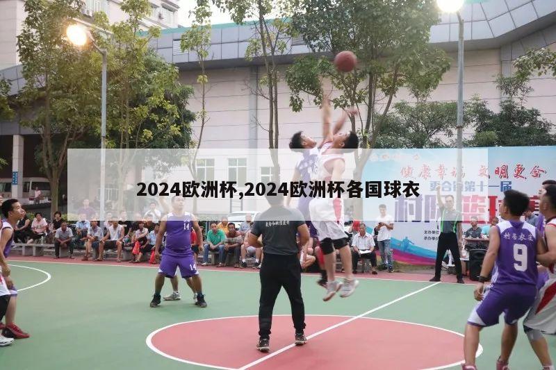 2024欧洲杯,2024欧洲杯各国球衣