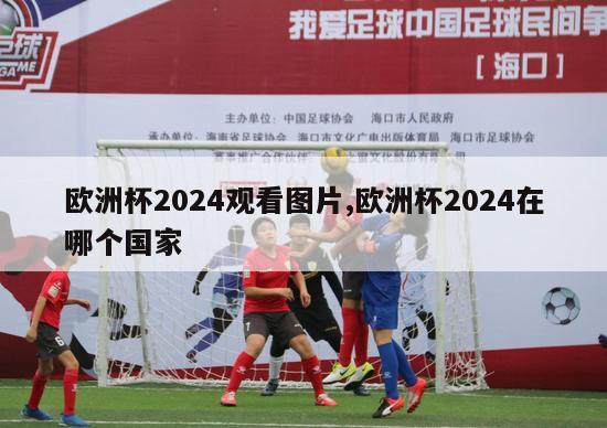 欧洲杯2024观看图片,欧洲杯2024在哪个国家